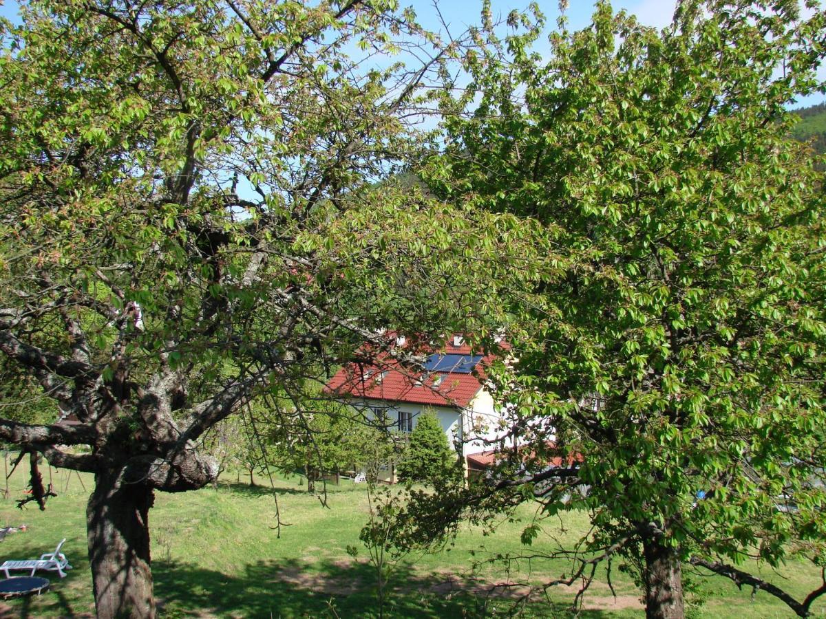 Agroturystyka Gluszyca Lomnica Lomnica  Luaran gambar